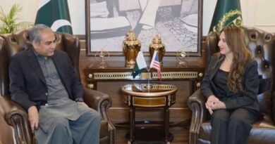 Baker meets naqvi to discuss regional peac