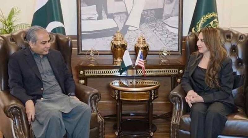 Baker meets naqvi to discuss regional peac