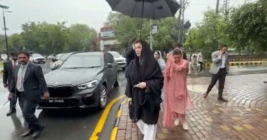 Maryam nawaz 2 750x375