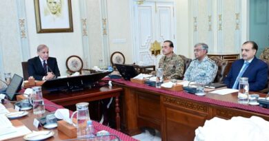 National security committee