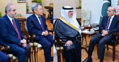Pm, china amb