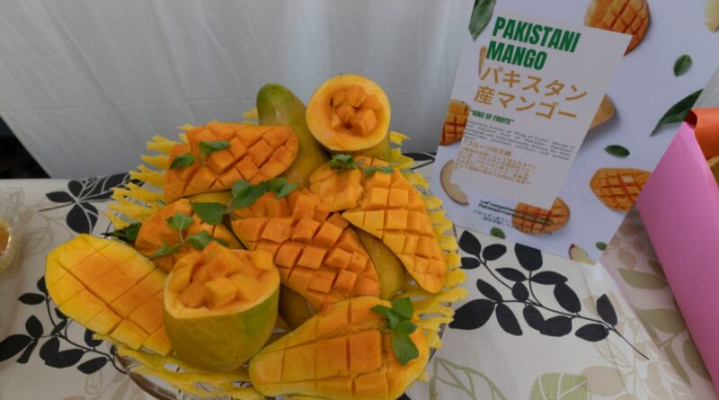 Pakistan food festival in japan1