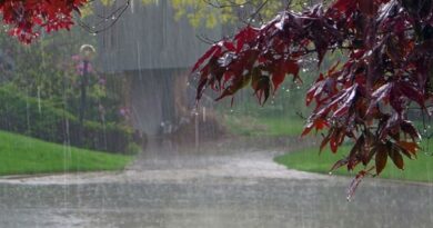 Pakistan likely to receive above average monsoon rains
