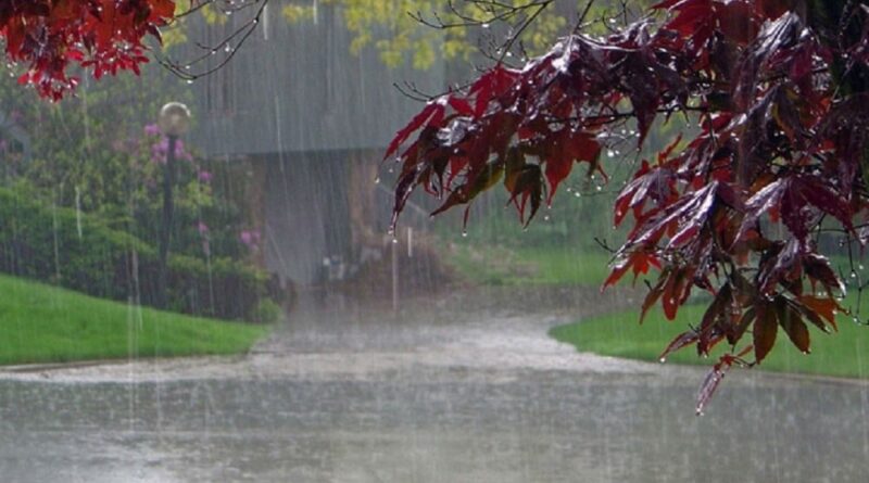 Pakistan likely to receive above average monsoon rains