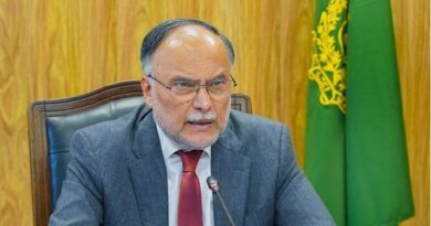 Ahsan backs creative economy as key to Pakistan’s growth