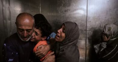 Senior EU official says Gaza crisis ‘looks very much’ like genocide