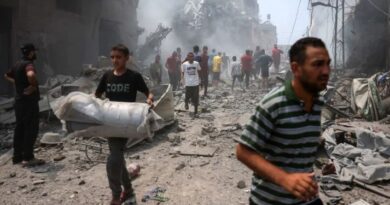 Germany suspends arms exports to Israel for use in Gaza