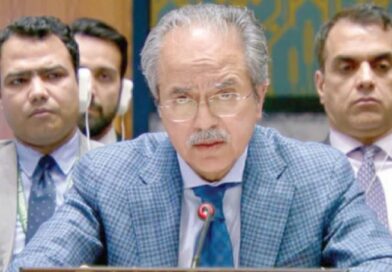 At UNSC, Pakistan calls for resolving conflicts to save children’s future