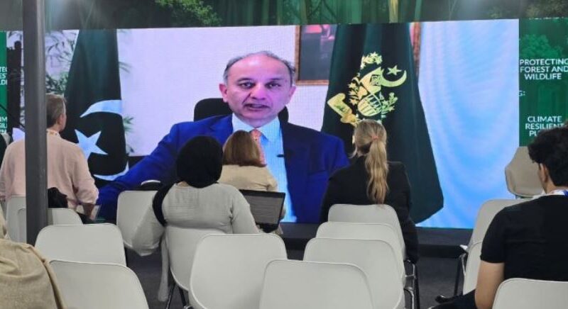 Pakistan renews call for climate finance, technology transfer at COP30 side events