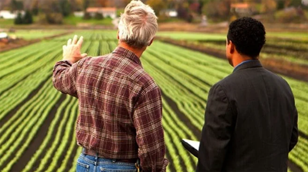 1.3m euro program dedicated to supporting young agribusiness entrepreneurs