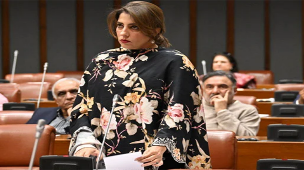 Senate deplores Netanyahu’s plan to forge alliances with India, others against Muslim nations