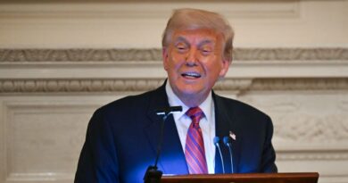 Trump now says 10 aircraft shot down during Pak-India conflict