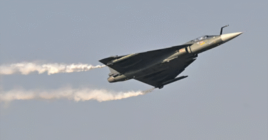 IAF grounds Tejas fleet after yet another jet crashes