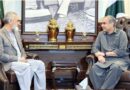 Naqvi meets GB caretaker CM, assures full security support for elections