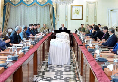 Shehbaz vows to promote economic partnership with Turkiye