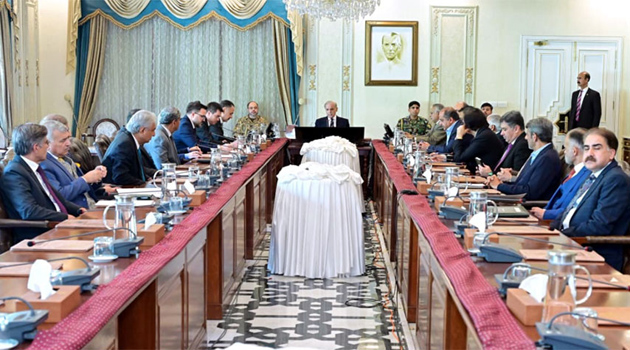 Shehbaz vows to promote economic partnership with Turkiye