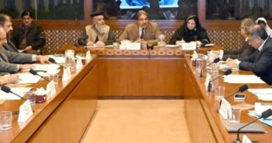 Senate panel to raise minister’s absence with PM