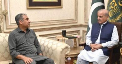 PM directs Naqvi to address security situation in Islamabad