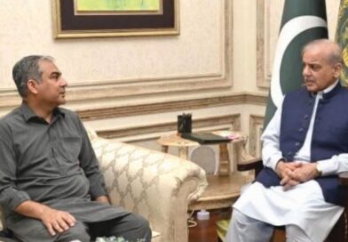 PM directs Naqvi to address security situation in Islamabad