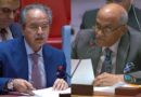 Pakistan, India exchange sharp words at UN Security Council over Afghanistan
