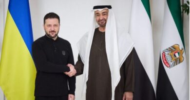 UAE, Ukrainian Presidents discuss cooperation and regional developments