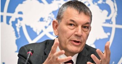 UNRWA chief seeks probe into killing of hundreds of staff in Gaza