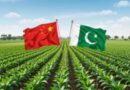 China-Pakistan academic cooperation drives innovation in water-efficient agriculture