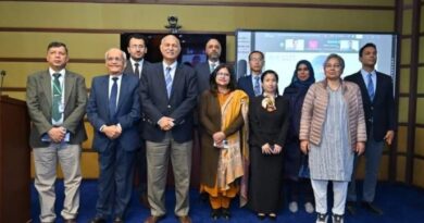 Experts urge policy certainty to attract Chinese solar manufacturing